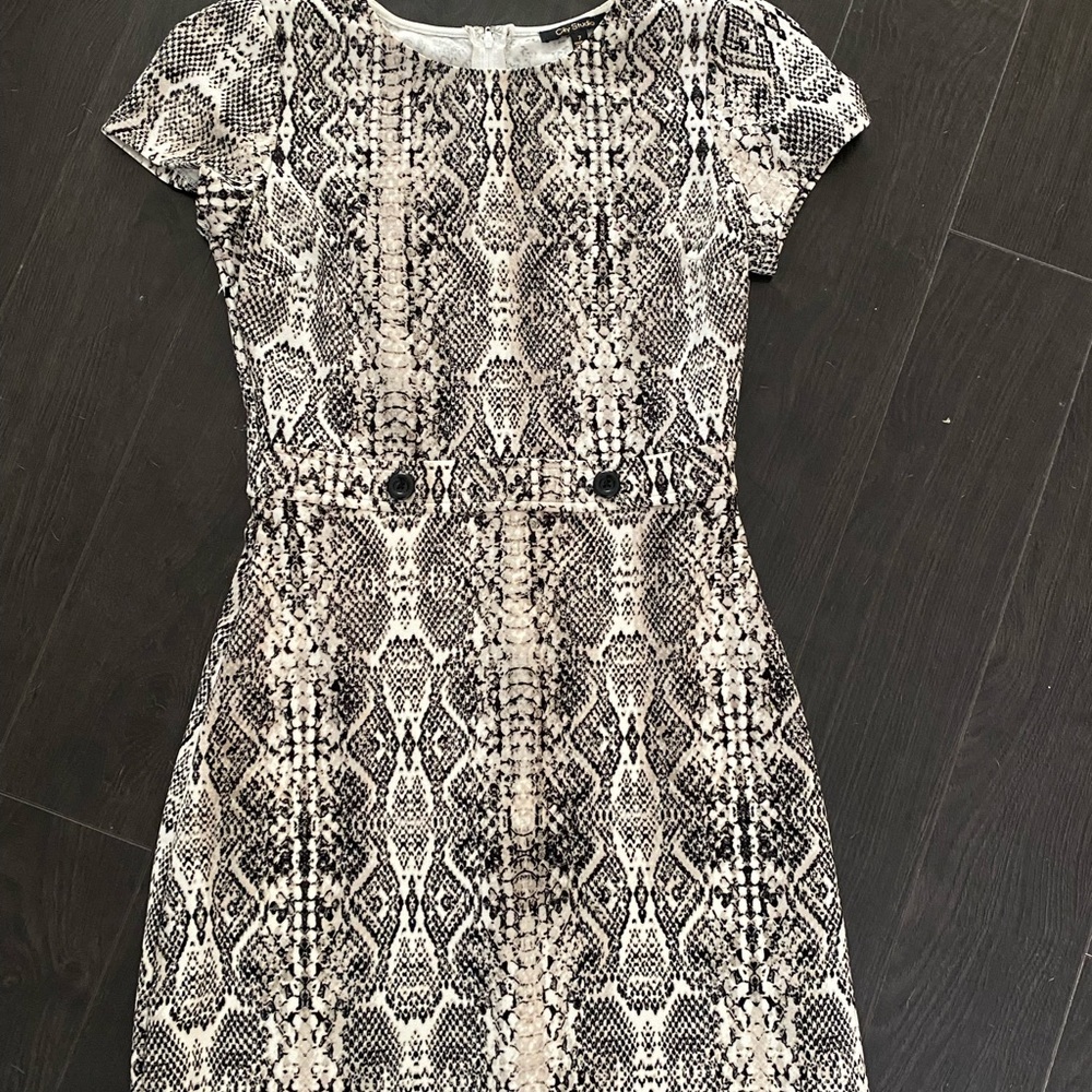 Animal Print Dress